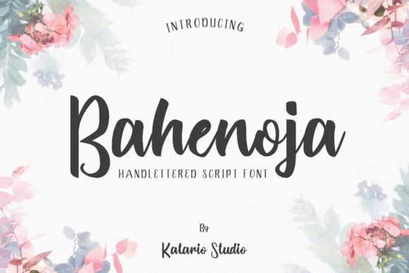 Bahenoja: A Script Handwritten Font for Branding and Creativity