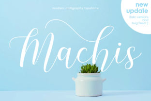 Machis: A Script Handwritten Font for Creative Product Design