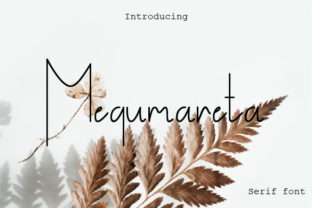 Megumareta: A Serif Font for Modern Web Design