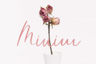 Minim: A Script Font That Adds Elegance to Your Branding