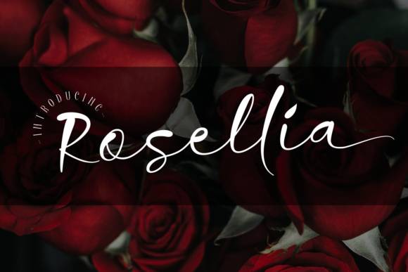 Rosellia: A Script Handwritten Font That Elevates Your Creative Projects
