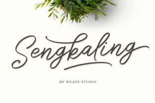 Sengkaling Script for Creative Editorial Design